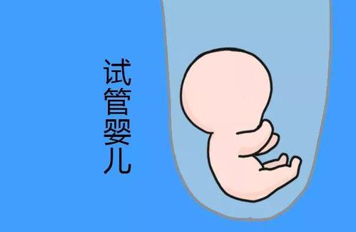 胚胎实验室主任
